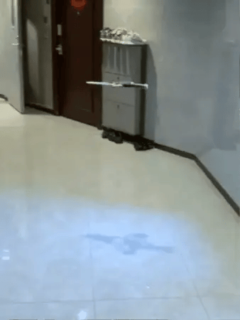 ESPADA VOLADORA MODELO2025